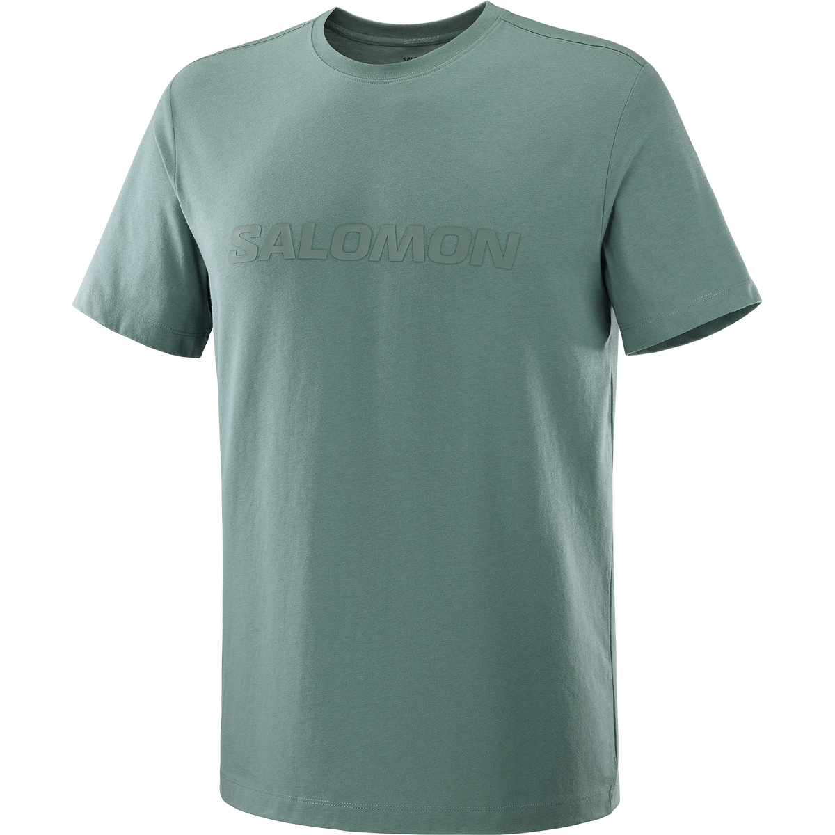 SALOMON LOGO